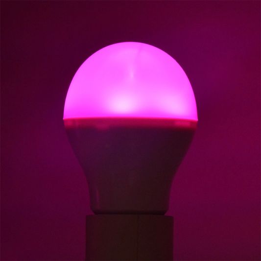 Milight starterspakket 1: 2x E27 RGBW Wifi lamp met Wifi module Ibox2