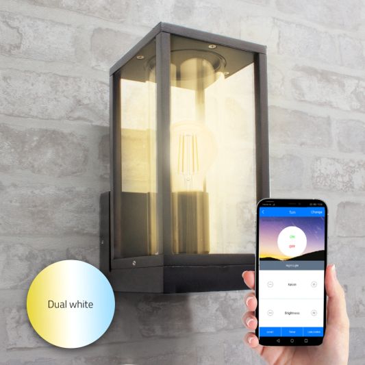 Moderne zwarte wandlamp voor buiten - Glazen design - Met E27 Milight led lamp