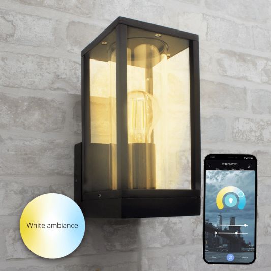 Moderne zwarte wandlamp voor buiten - Glazen design - Met E27 Zigbee filament led lamp
