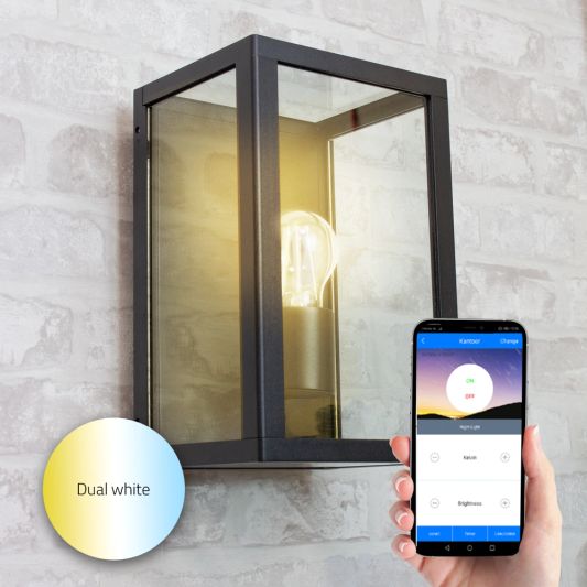 Moderne zwarte wandlamp voor buiten met E27 Milight slimme verlichting led lamp