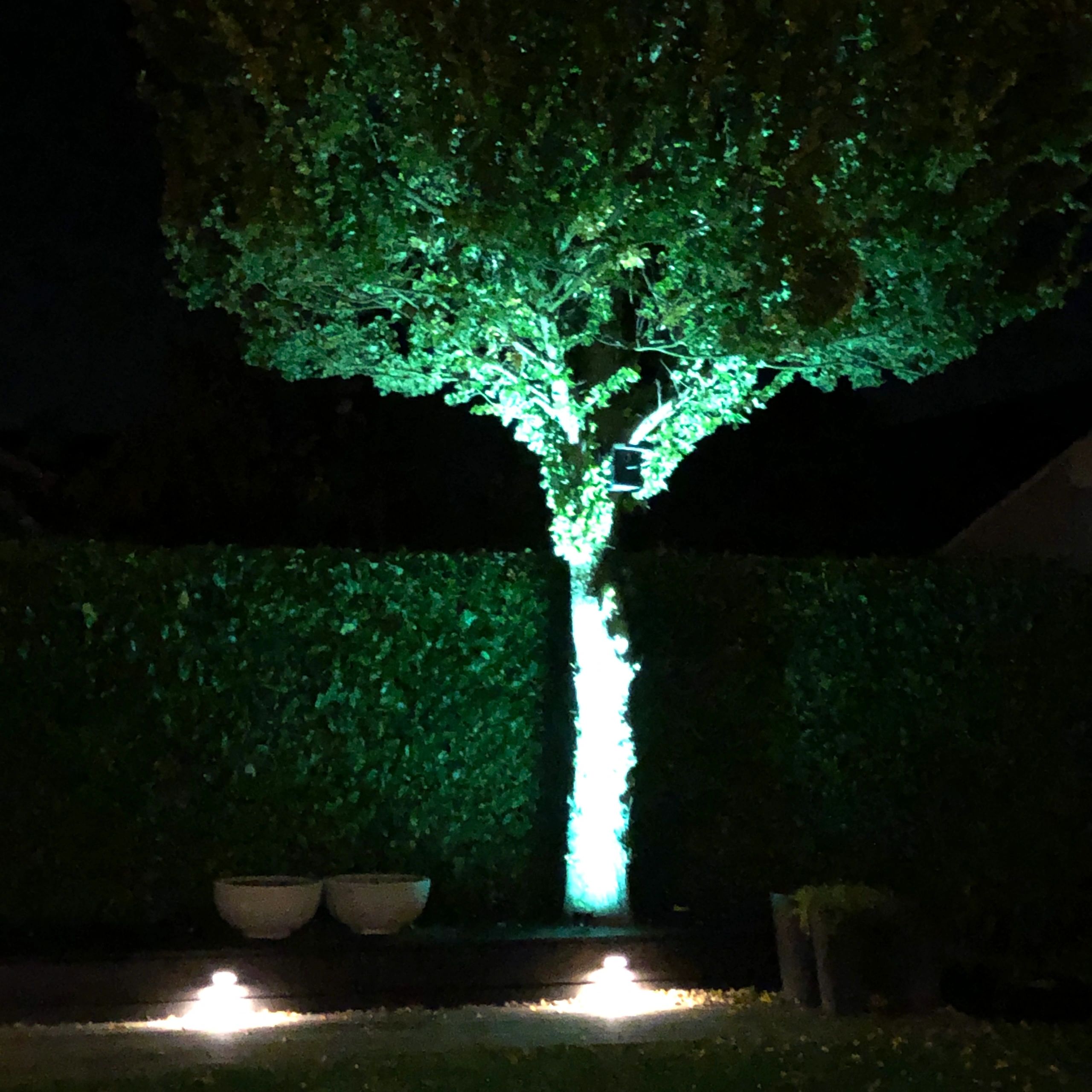 Milight WIFI LED tuinspot/schijnwerper RGBWW - 9 Watt