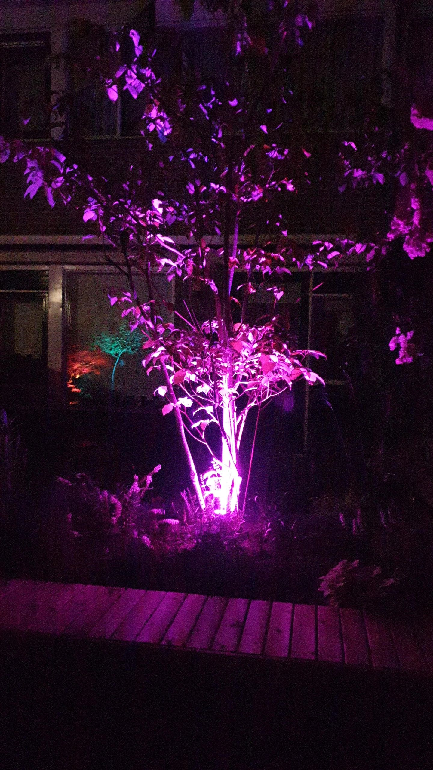 Zwarte wandlamp voor buiten met Zigbee GU10 spot - Recht