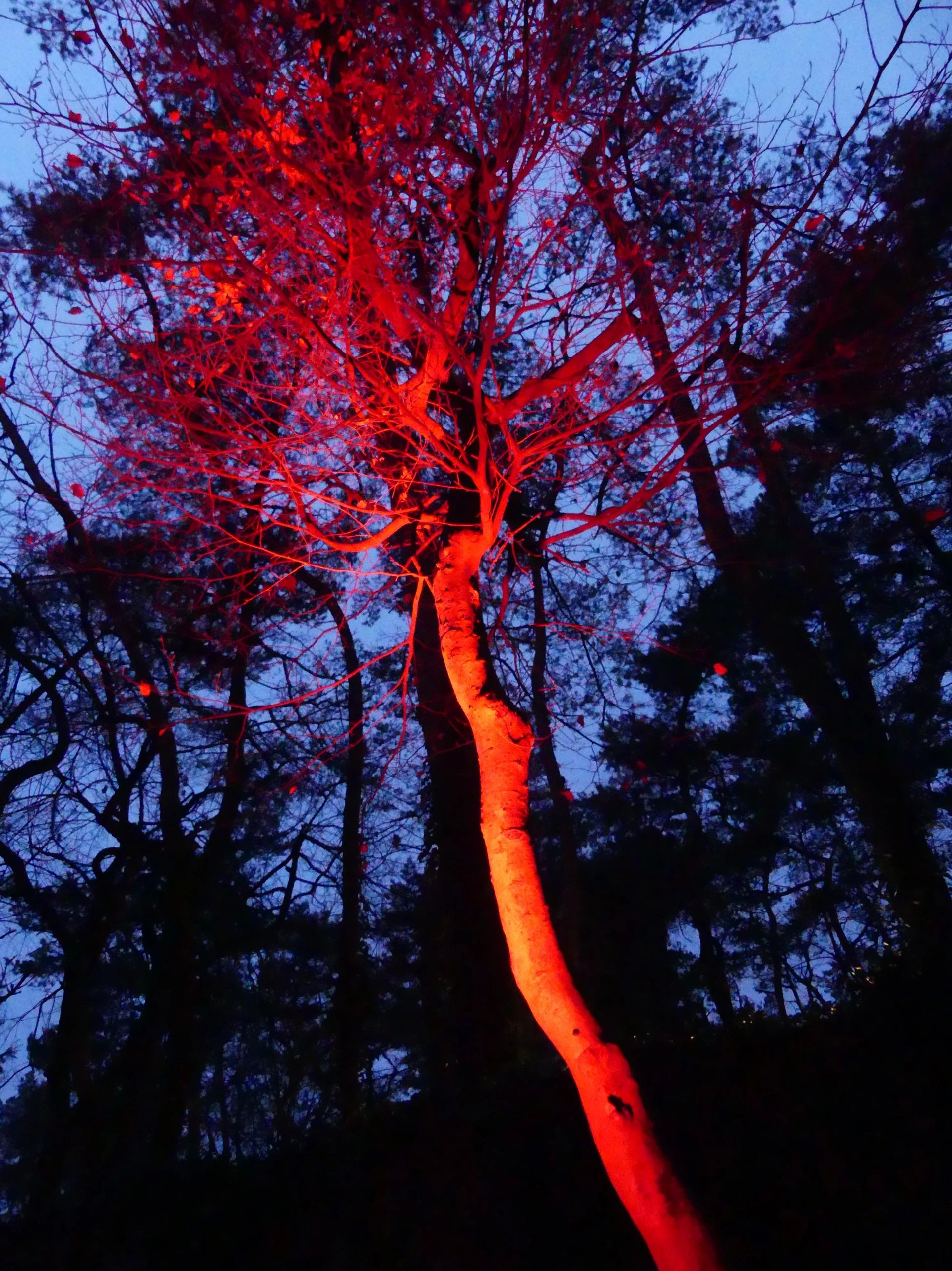 Milight WIFI LED tuinspot RGBWW set - 9 Watt